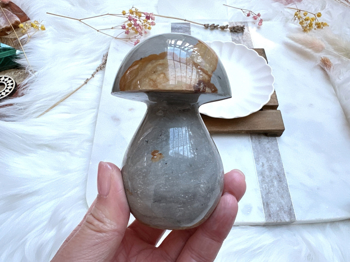 Polychrome Jasper Mushroom