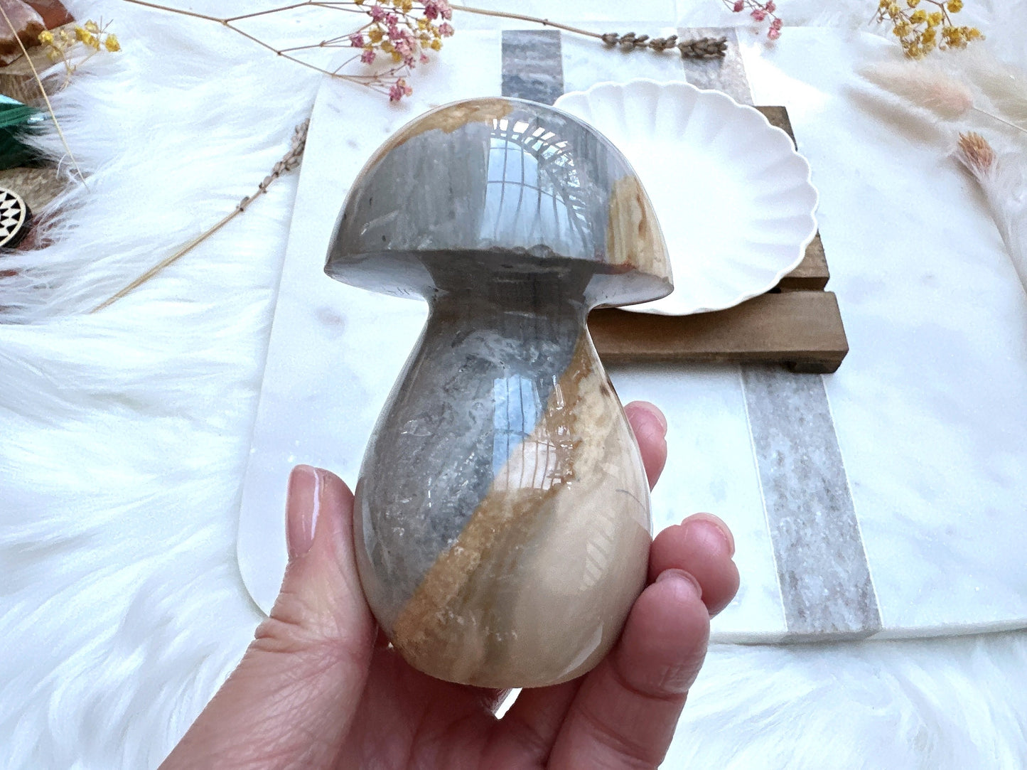 Polychrome Jasper Mushroom