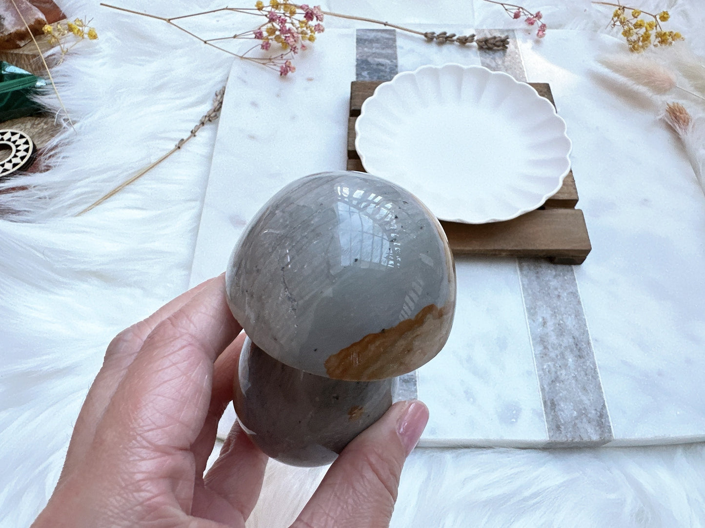 Polychrome Jasper Mushroom