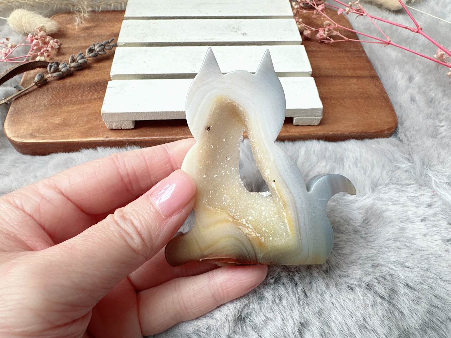 Agate with Druzy Cat