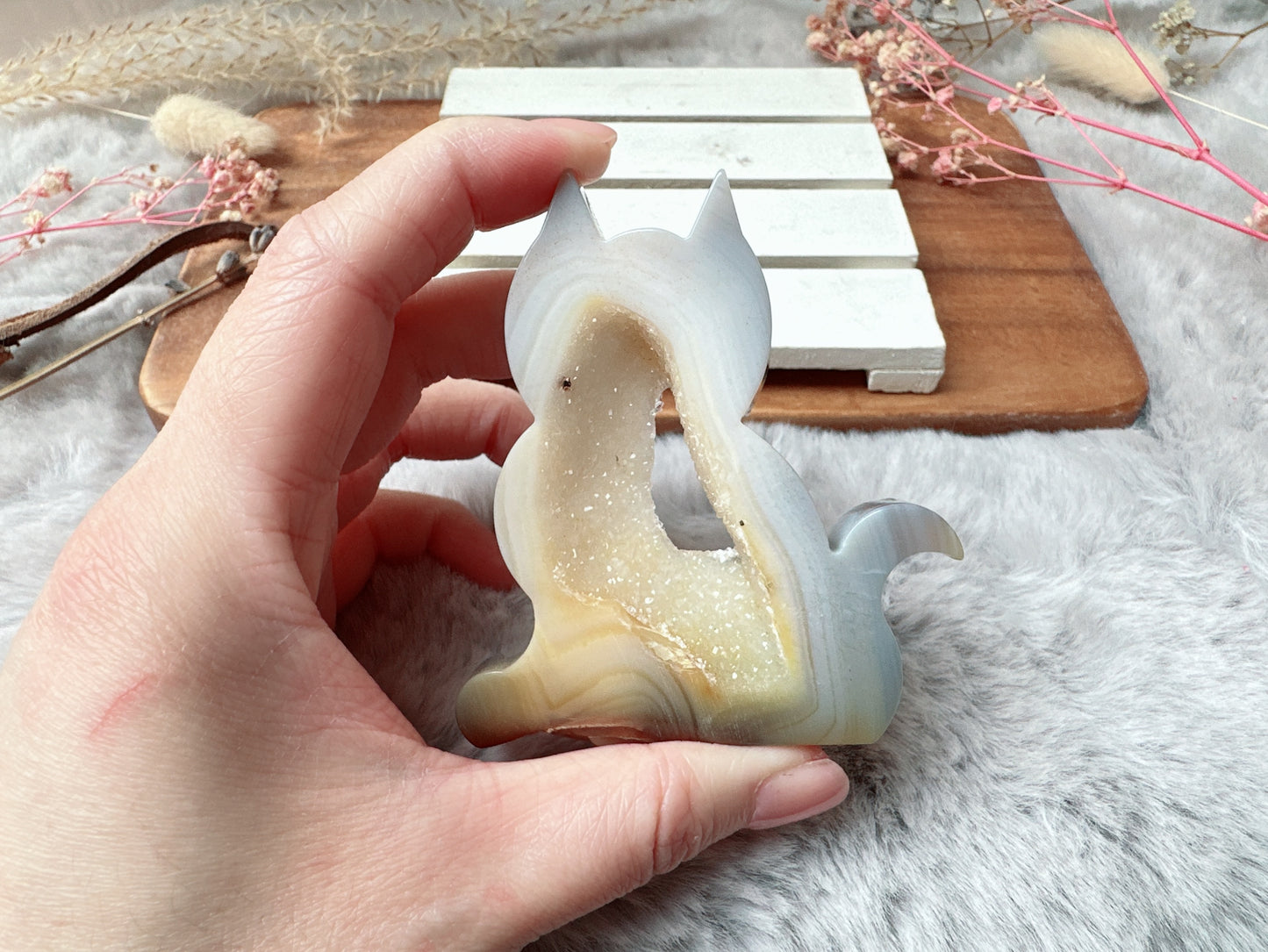Agate with Druzy Cat