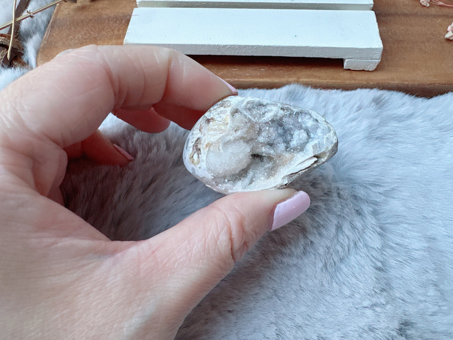 Small Fossil Shell